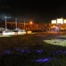 dsc6955