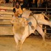 dsc8029